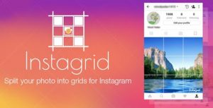 Grids for Instagram crack
